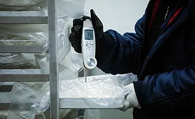 Measuring the temperature of frozen food with an electronic thermometer