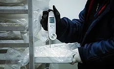 Measuring the temperature of frozen food with an electronic thermometer