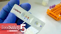 a person wearing blue gloves holding a rapid test cassette labeled "Listeria" with two red lines visible in the control (C) and test (T) zones