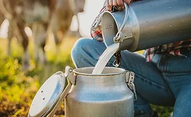 Farmer pouring raw milk into a container
