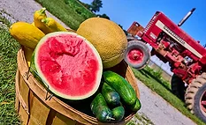 a wooden basket filled with fresh farm produce, including a sliced watermelon, cucumbers, yellow squash, and a melon, with a red tractor in the background