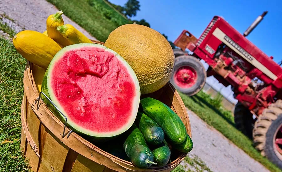 a wooden basket filled with fresh farm produce, including a sliced watermelon, cucumbers, yellow squash, and a melon, with a red tractor in the background a wooden basket filled with fresh farm produce, including a sliced watermelon, cucumbers, yellow squash, and a melon, with a red tractor in the background