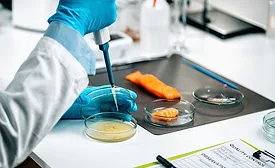 a person in a lab coat and blue gloves using a pipette on a petri dish with a salmon sample nearby, representing food safety testing.