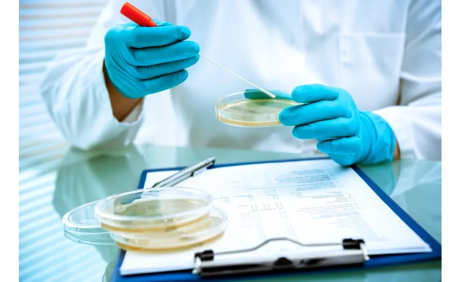 Environmental Monitoring: Stay Ahead of Food Safety Risks with Continuous Improvements