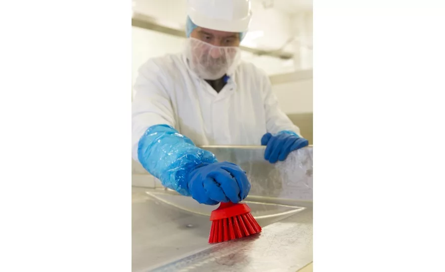 Sanitation and cleaning best practices