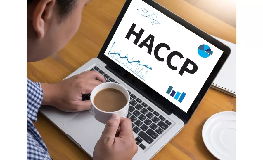 Strategies for employee management, training and workforce development