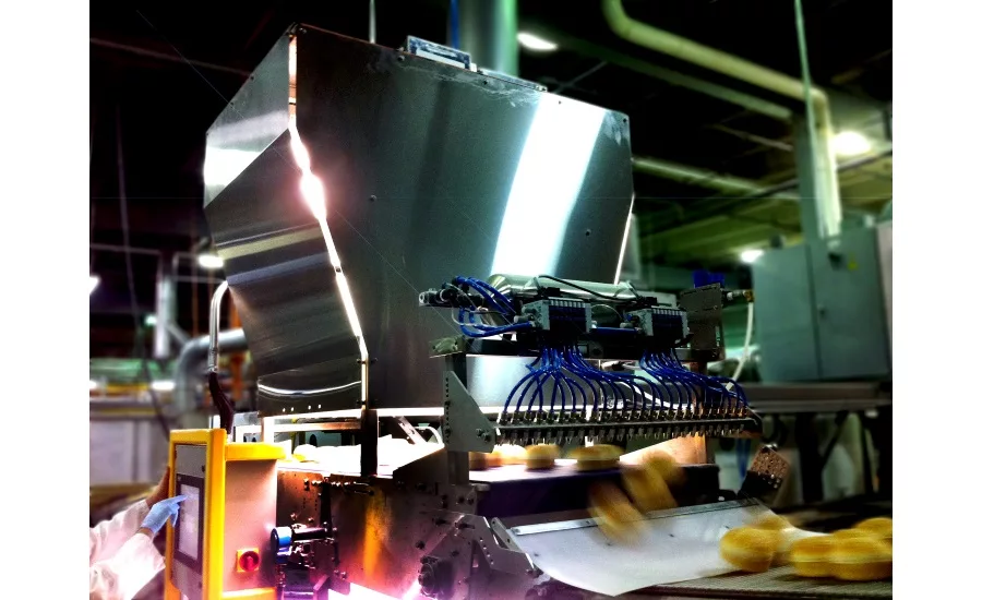 Inspection and detection lines, Sightline Process Control Inc.