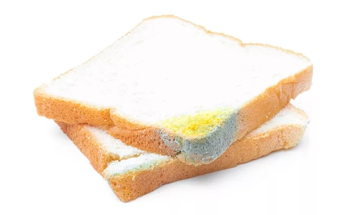 Does Toasting Kill Mold on Bread: Myth or Fact?