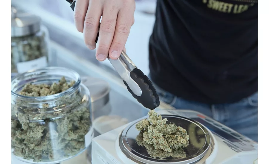 cannabis food and beverage safety