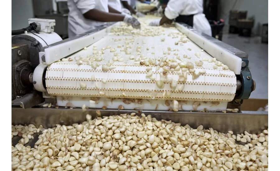 Controlling allergens across the food chain