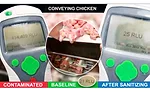 Maintaining safe and sanitary meat and poultry processing with certified conveyor