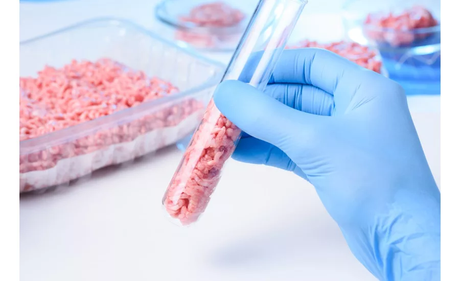 International Interlaboratory Scientific Study for Standardization of Next-Generation Sequencing in Food Authenticity Testing