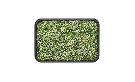 Wegmans Issues Voluntary Recall of Fresh Cauliflower Rice, Veggie/Cauliflower Rice Blend and Stir-Fry Mix with Cauliflower