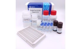 Hygiena releases GlutenTox ELISA Rapid G12: a more sensitive, faster gluten test