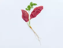 Aleph Farms Clean Meat