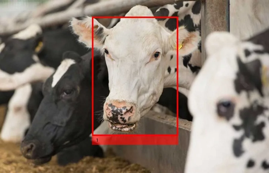 Cargill facial recognition tech 
