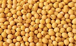 soybeans