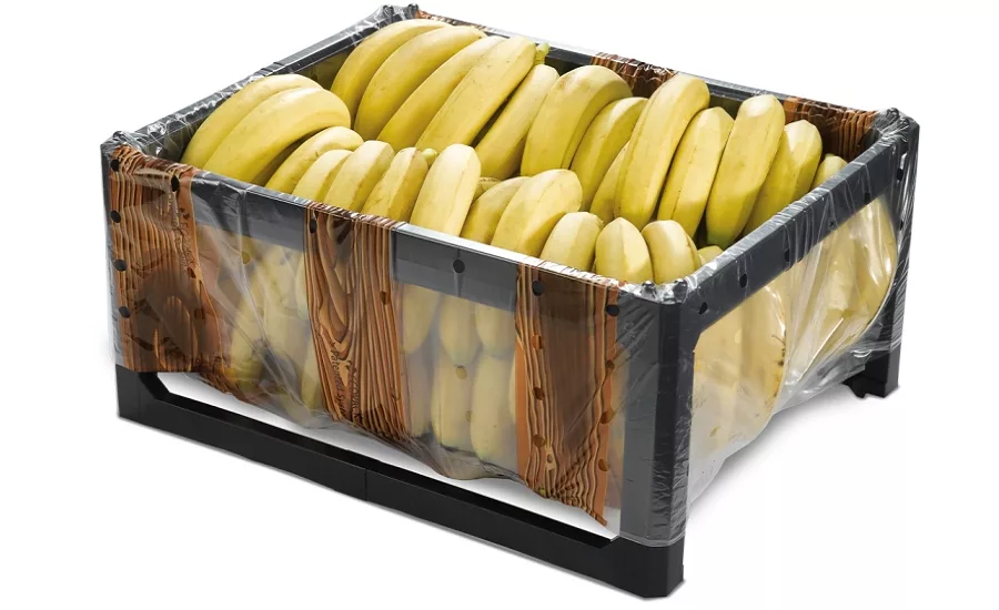 The next stage of produce containers 