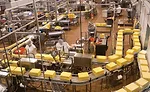 operations on food and beverage plant floor