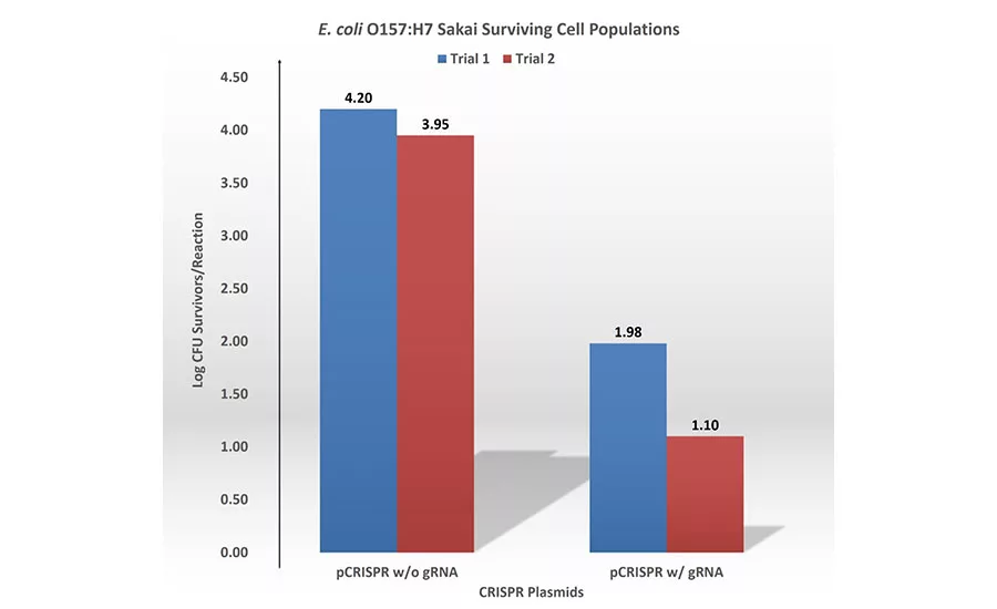 E. coli O157:H7 Sakai Surviving Cell Populations