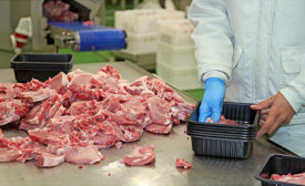 Meat and Poultry Employee Hygiene Practices Include Wearing Gloves