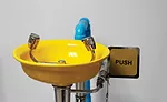 eyewash station