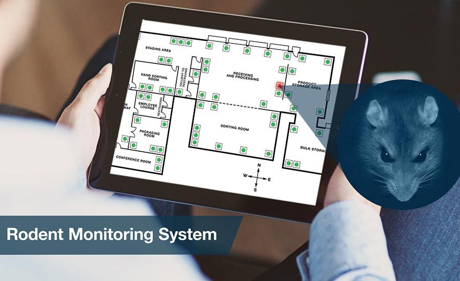 A good pest control program can help protect the bottom line 201904