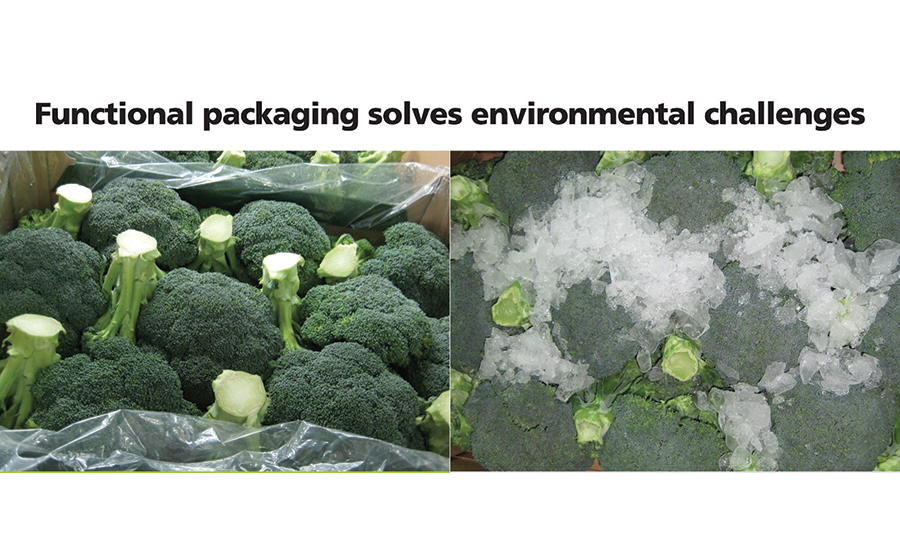 Broccoli in Xtend Iceless packaging