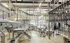 Sanitary Food Processing Facility