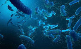 Microbiological Contaminants