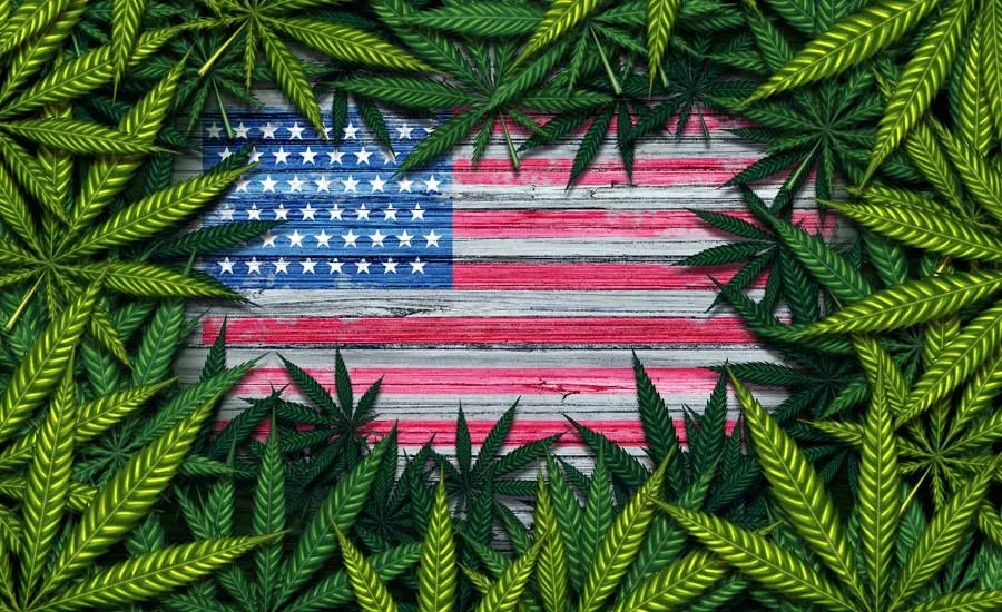 cannabis regulation