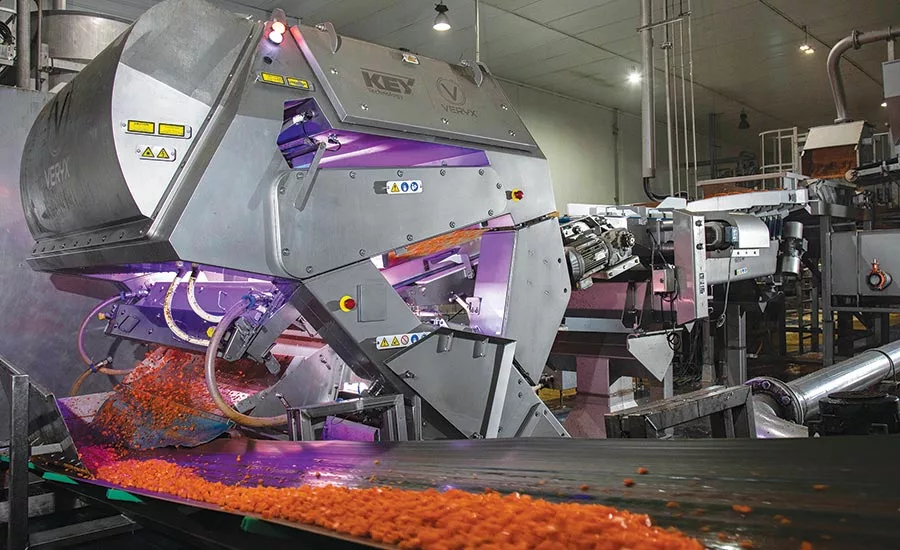 VERYX B140 bulk product sorter