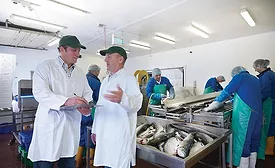 disaster preparedness 