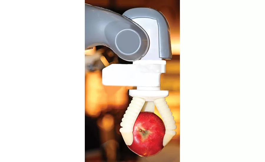 robotic food handling