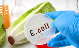 2020 Food Safety Report E-Coli