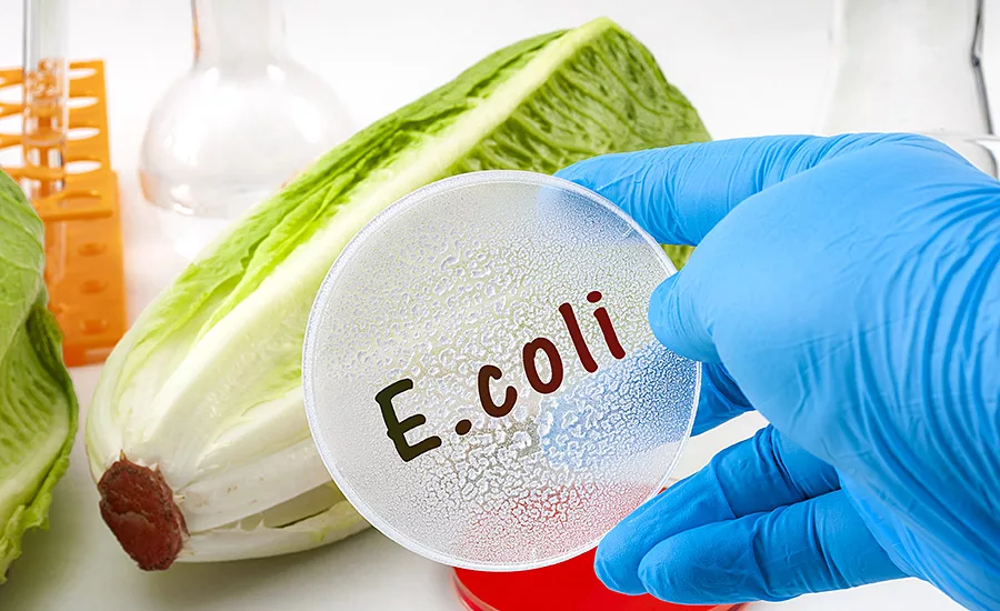 2020 Food Safety Report E-Coli