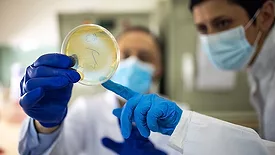 microbiology scientists with petri dish