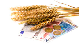 wheat and EU bank notes