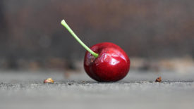 cherry on ground