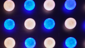 blue LED light