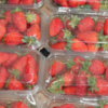 packaged strawberries