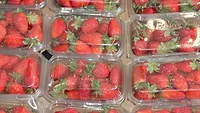 packaged strawberries packaged strawberries