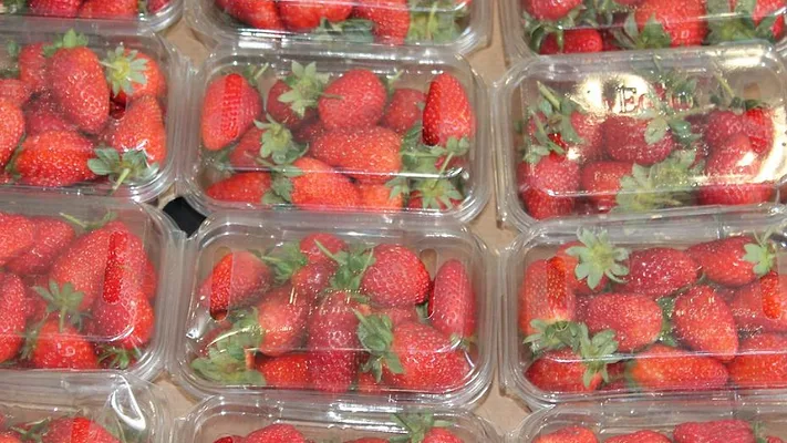 packaged strawberries packaged strawberries
