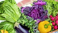 produce produce