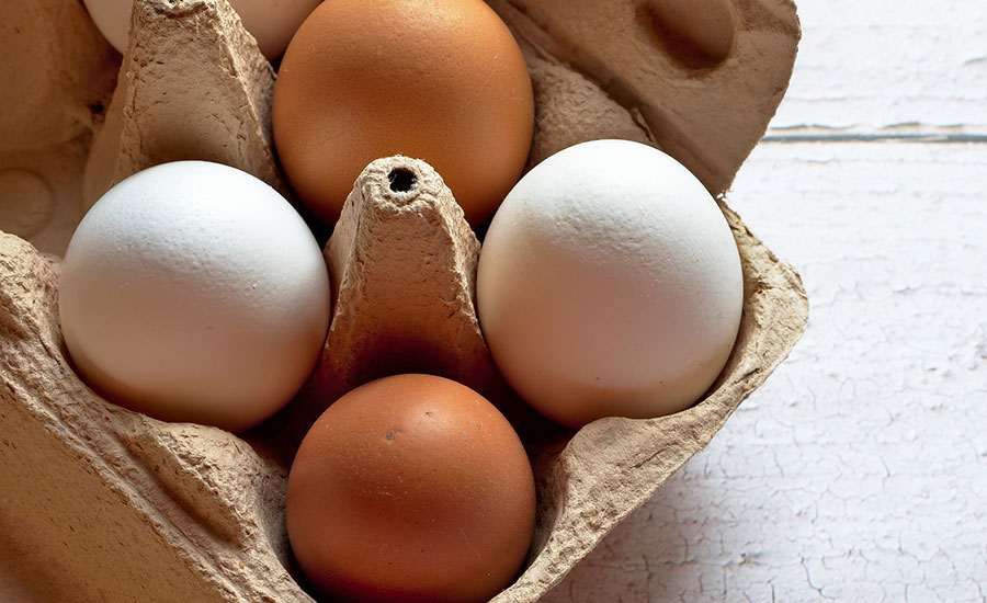 FDA Announces New Egg Regulatory Program Standards