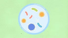 cartoon bacteria petri dish