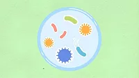 cartoon bacteria petri dish cartoon bacteria petri dish