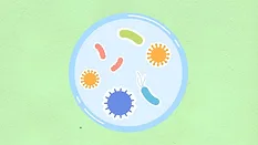 cartoon bacteria petri dish