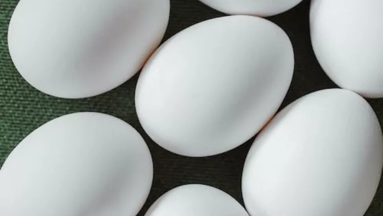 eggs close up on a green background