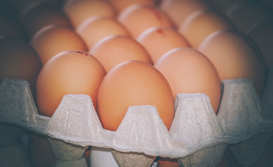 European Salmonella Outbreak Linked to Eggs Sickens Approximately 300 People
